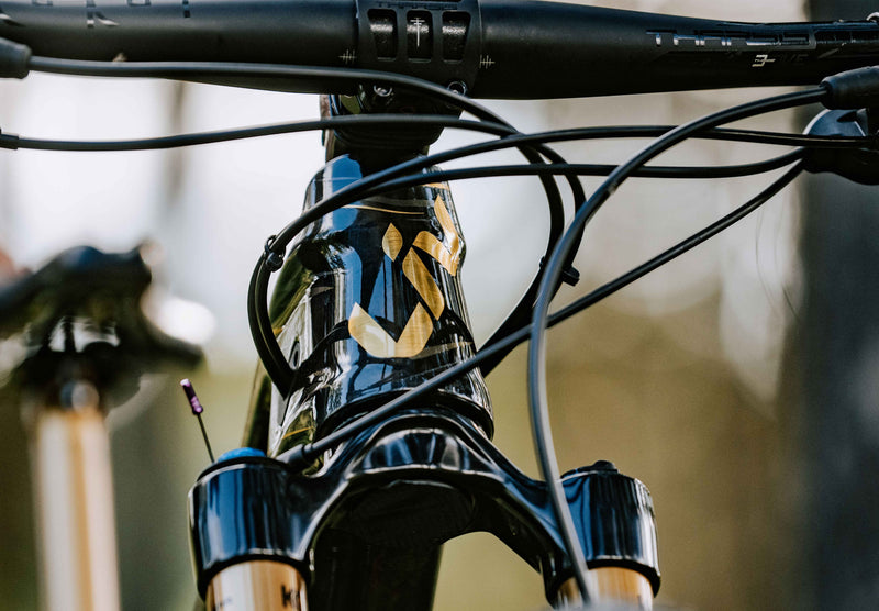 Overlooked Lubrication Points On Your Bike