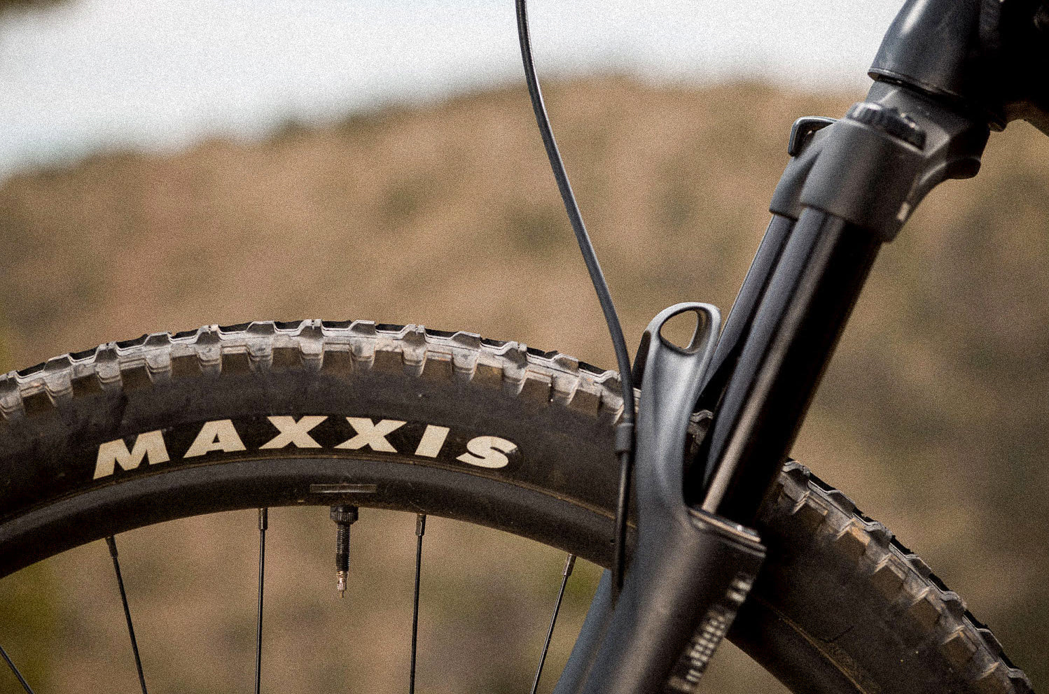 Essential Guide To Suspension Lubrication